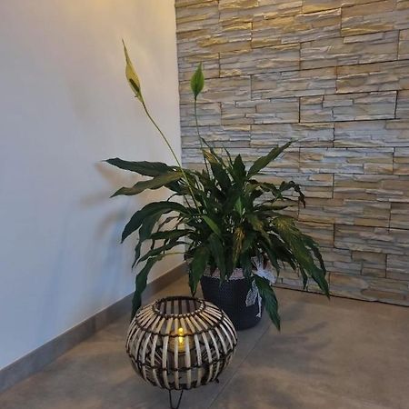 Wellness Ferienhaus Mechernich Extérieur photo